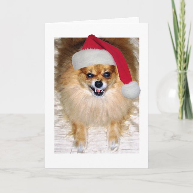 Carte de Noël | Chien de Père Noël de Poméranie (Devant)