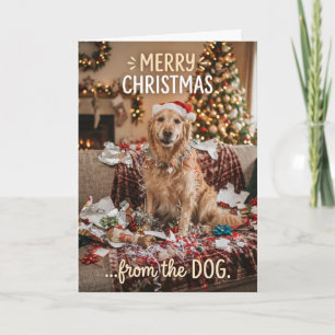 Carte de Noël Chien Golden Retriever Cosy