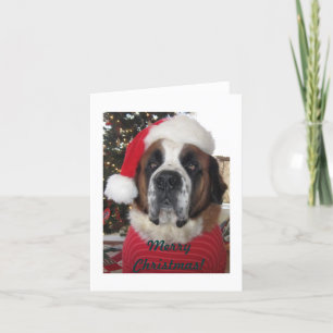 Carte de Noël Chien père Noël St. Bernard