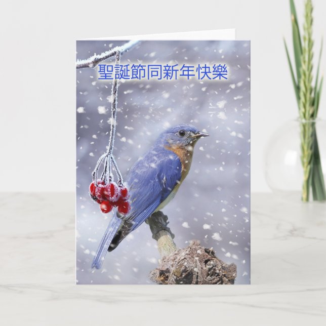 carte de noël chinois - oiseau bleu avec baies et (Devant)