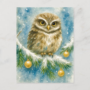 Carte de Noël Chouette d'hiver sur Branche enneigé
