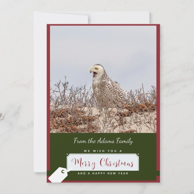 Carte de Noël Chouette neigeuse (Devant)