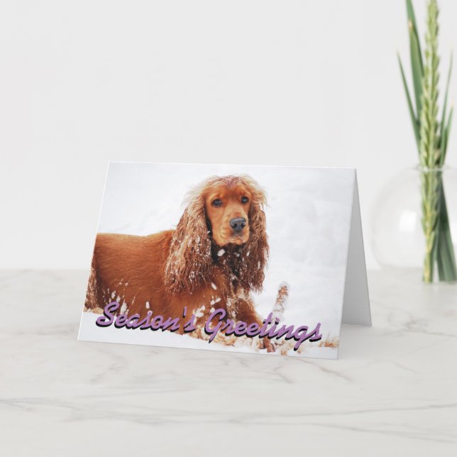Carte de Noël Cocker Spaniel (Devant)