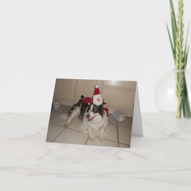 Carte de Noël Collie Bordure (Devant)