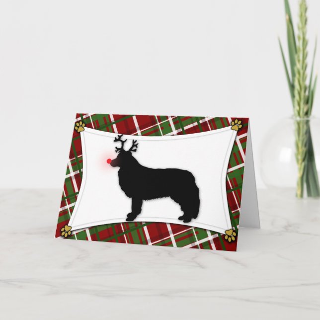 Carte de Noël Collie Reindeer (Devant)