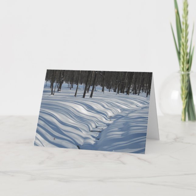 Carte de Noël comportant les ombres soyeuses de (Devant)