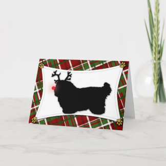 Carte de Noël Coton de Tulear Reindeer