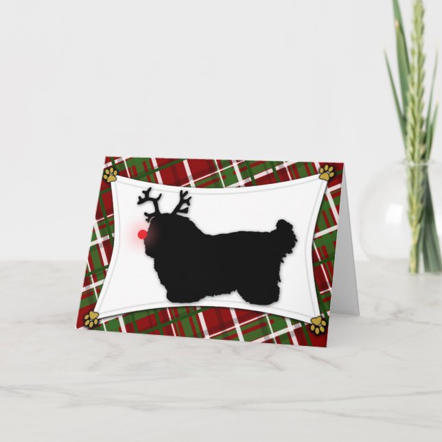 Carte de Noël Coton de Tulear Reindeer (Devant)