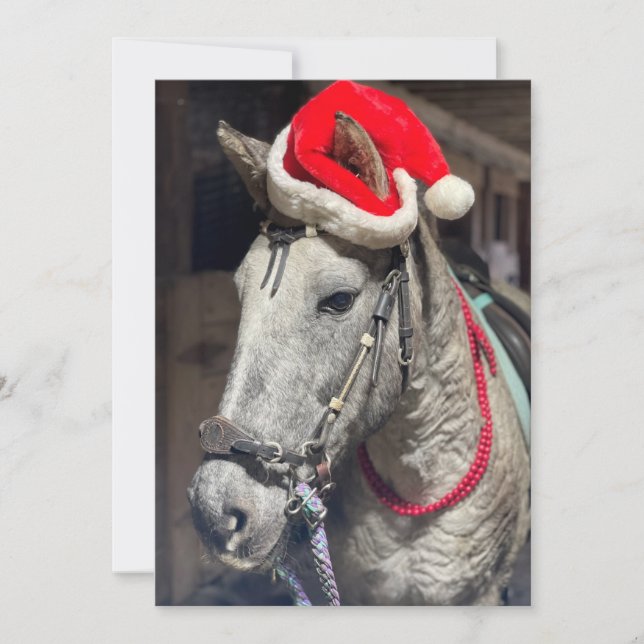 Carte de Noël Curly Horse (Devant)