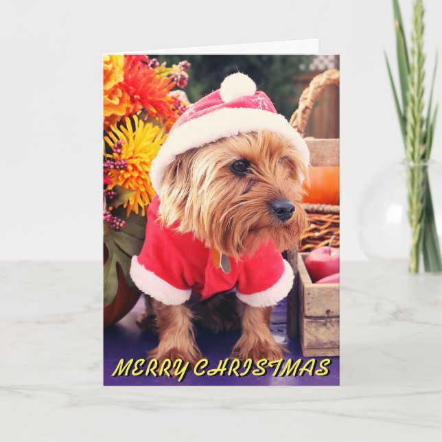 Carte de Noël Cute Terrier (Devant)