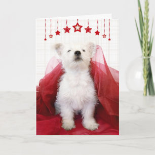 Carte de Noël Cute Westie Pup