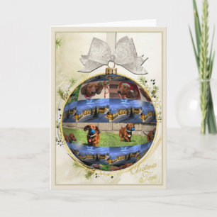 Carte de Noël Dachshund