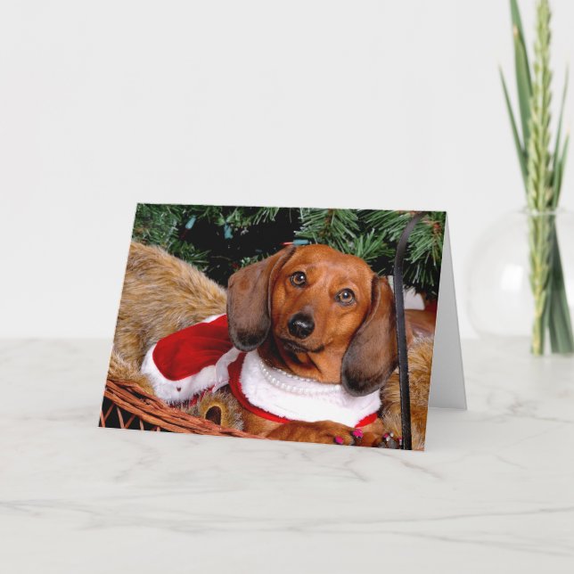 Carte de Noël Dachshund (Devant)