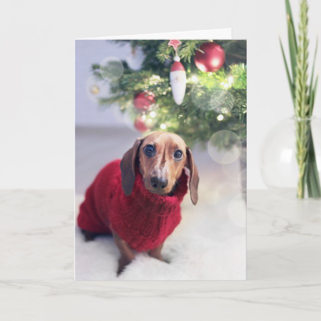 Carte de Noël Dachshund (Devant)