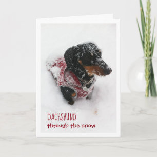 Carte de Noël - Dachshund à travers la neige