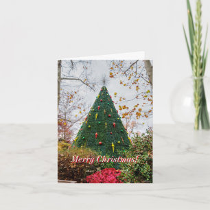 Carte de Noël de 5 étages SDC Tree