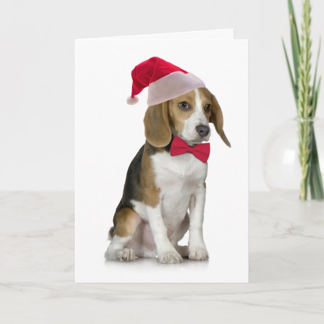 Carte de Noël de beagle de Père Noël (Devant)