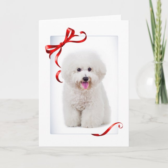 Carte de Noël de Bichon (Devant)