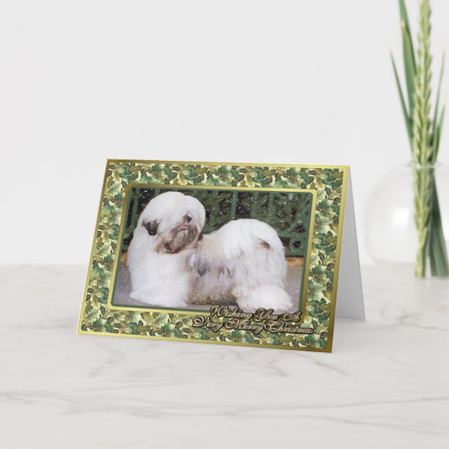 Carte de Noël de blanc de chien de Lhasa Apso (Devant)