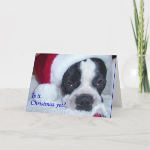 Carte de Noël de Boston Terrier