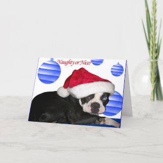 Carte de Noël de Boston Terrier