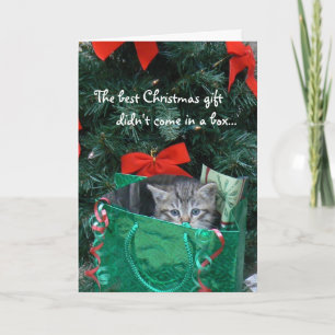 Carte de Noël de cadeau de chaton