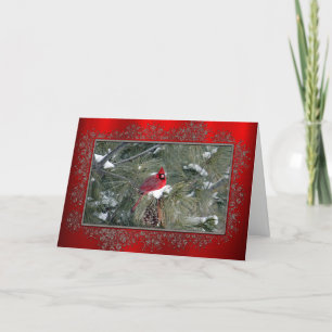 Carte de Noël de cadre du cardinal 3093