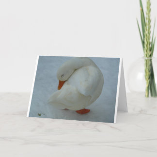 Carte de Noël de canard