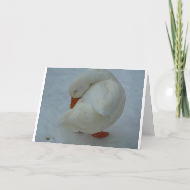 Carte de Noël de canard (Devant)