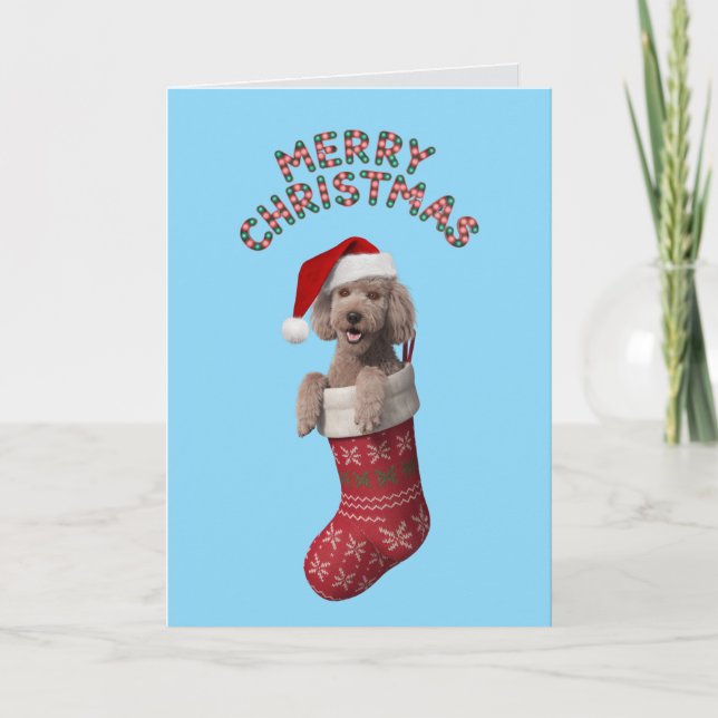 Carte de Noël de caniche (Devant)