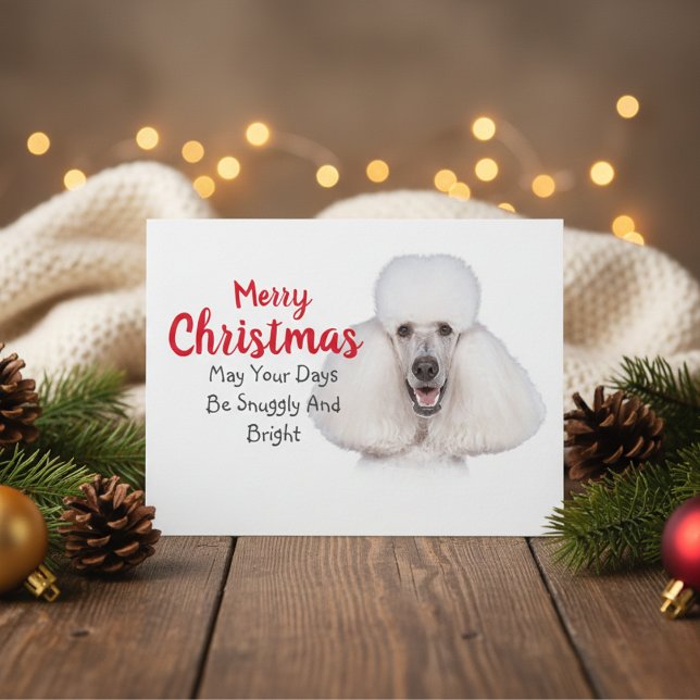 Carte de Noël de caniche standard blanc (White Standard Poodle Christmas Card)