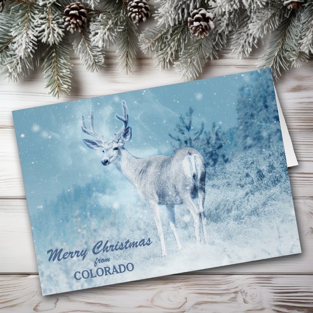 Carte de Noël de cerf de Noël du Colorado (Créateur téléchargé)