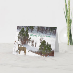 Carte de Noël de cerfs communs