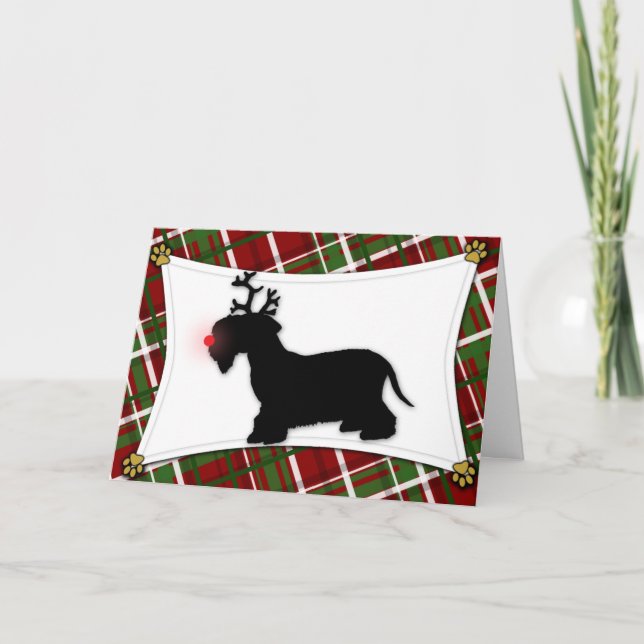Carte de Noël de Cesky Terrier (Devant)
