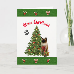 Carte de Noël de chat