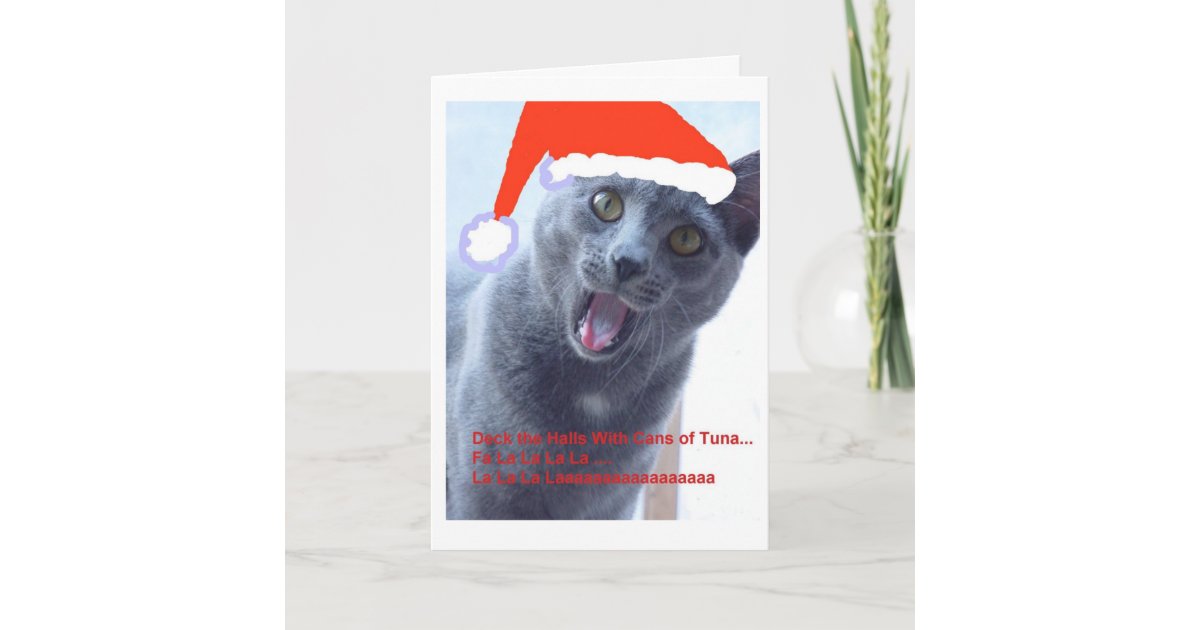 Carte de Noël de chat 2  Zazzle.fr