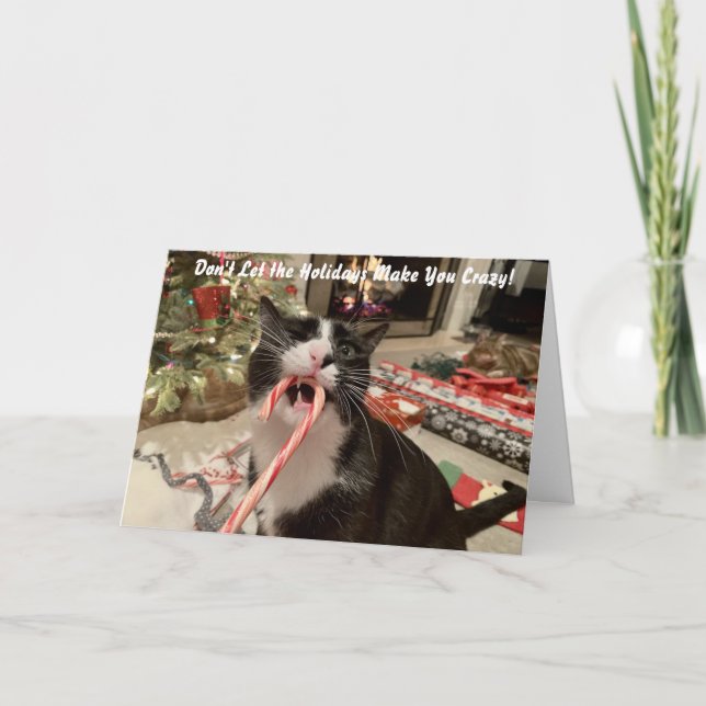 Carte de Noël de chat drôle (Devant)