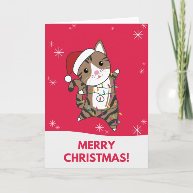 Carte de Noël de chat neige hiver Animaux Chats (Devant)
