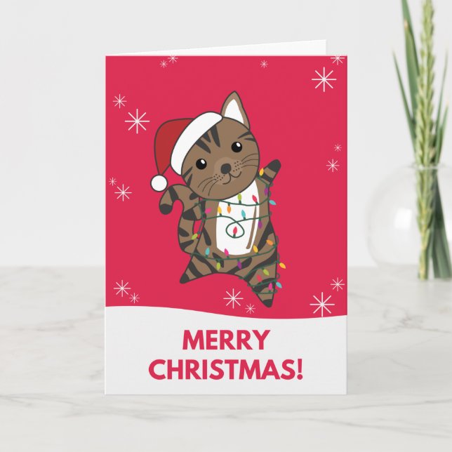 Carte de Noël de chats Neige Hiver Animaux Chats (Devant)