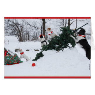 Carte de Noël de chien