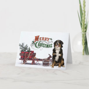 Carte de Noël de Chien Bernese Mt