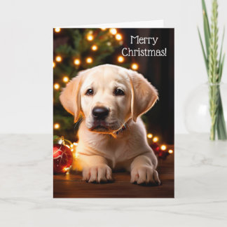 Carte de Noël de Chien Chien à Chien blanc du Labr