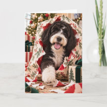 Carte de Noël de Chien d'Eau Portugais
