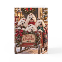 Carte de Noël de chiens maltais