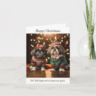 Carte de Noël de chiens Shih Tzu