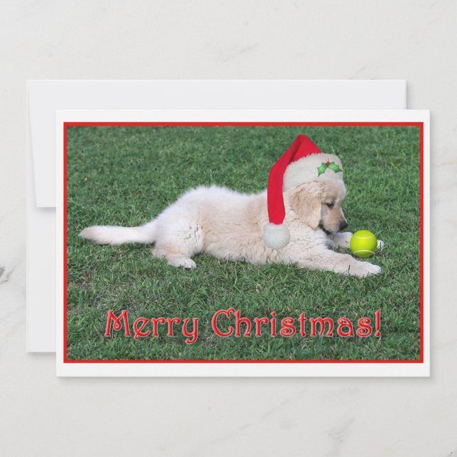 Carte de Noël de chiot de golden retriever plate (Devant)
