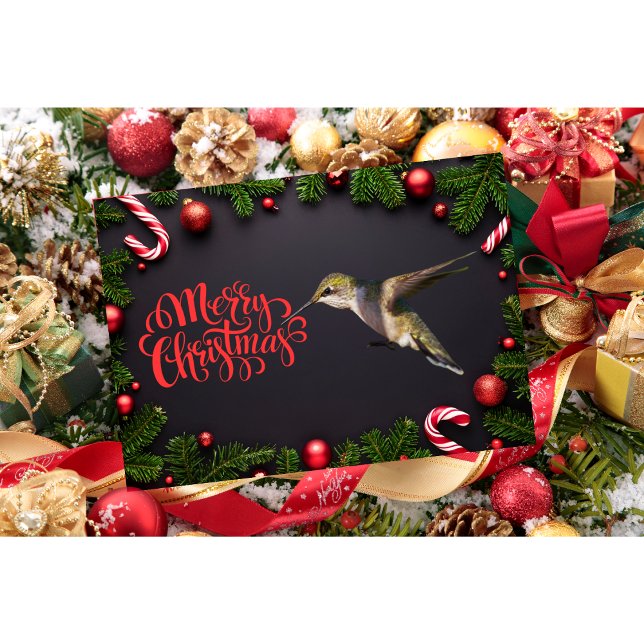 Carte de Noël de colibri (Créateur téléchargé)