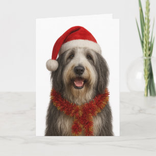 Carte de Noël de Colley barbu avec un chapeau de P