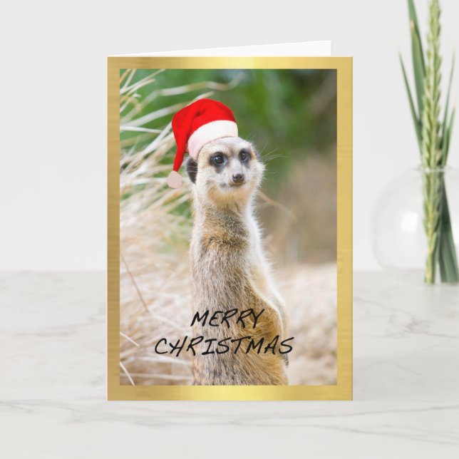 Carte de Noël de conception "de Meerkat mignon" (Devant)