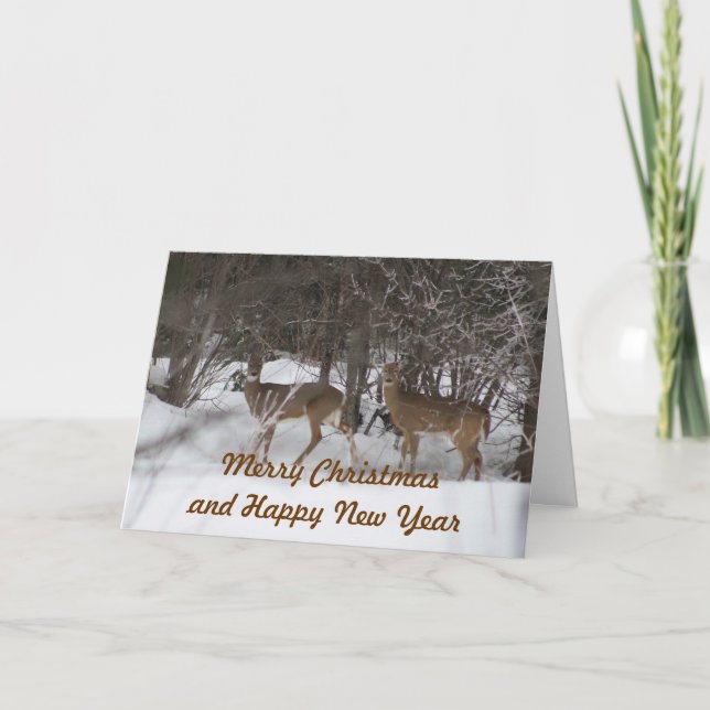 Carte de Noël de deux cerfs communs (Devant)